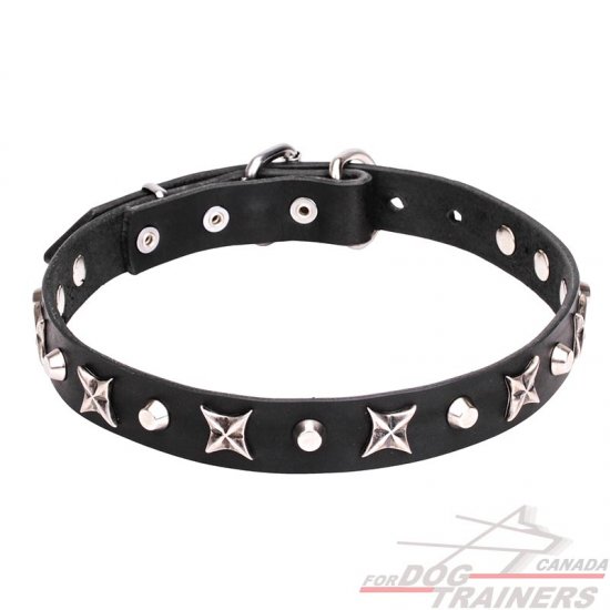 "Blazing Stars" 1 inch (25 mm) Leather Dog Collar with Nickel Plated Stars and Pyramids