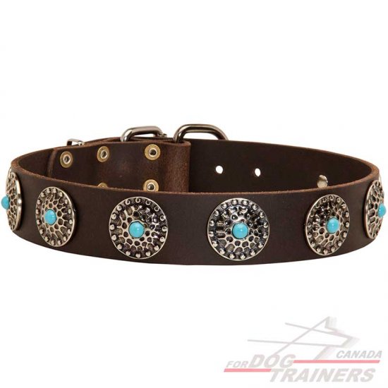 Wide Leather Dog Collar with Silver like Circles