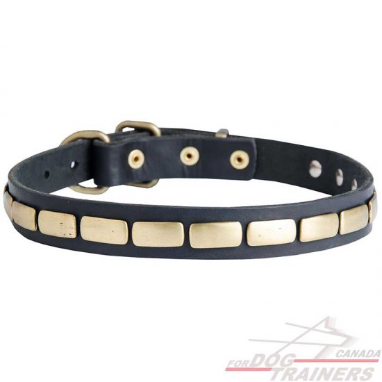 Fashion Leather Dog Collar With Shiny Plates