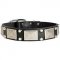 Beautiful Leather Dog Collar With Nickel Plates and Cones