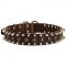 Studded and Spiked Leather Dog Collar for Showy Promenades