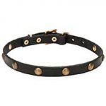 'Elegant Beauty' Leather Canine Collar with Goldish Brass Hardware - 4/5 inch (20 mm)