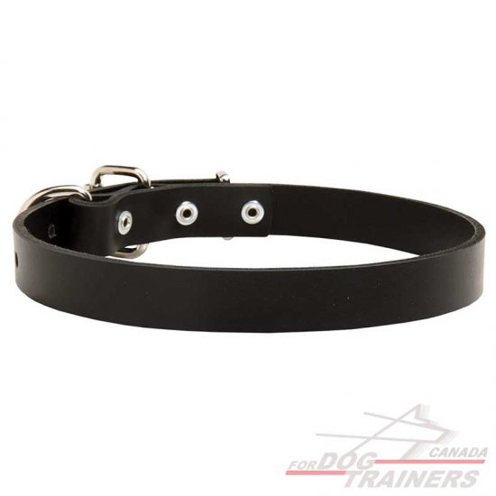 Classic Leather Collar for Dog Walking and Training