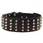 Wide Leather Dog Collar with Rows of Nickel Cones