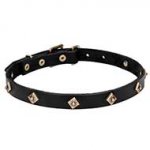 'Rhombi' Leather Dog Collar with Brass Decoration