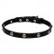 "Lucky" Leather Dog Collar with Nickel Plated Engraved Studs - 4/5 inch (20 mm)