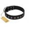 "Silent Star" Handmade FDT Artisan Designer Black Leather dog Collar with Engraved Plates