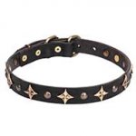 'Milky Way' Leather Dog Collar with Old Bronze-plated Half-ball Studs and Stars -1 inch (25 mm)