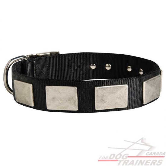 Fashion Nylon Dog Collar with Vintage Plates for Daily Walking