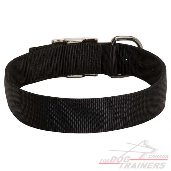 Thick nylon sales dog collars