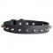 Leather Dog Collar With Spiked Decoration