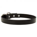 Classic Leather Collar for Dog Walking and Training