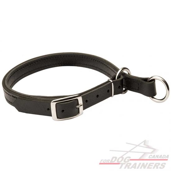 Superb Adjustable Leather Choke Dog Collar