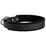 Felt Padded Leather Dog Collar for Walking and Training