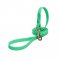 Green Waterproof dog Leash Made of Biothane