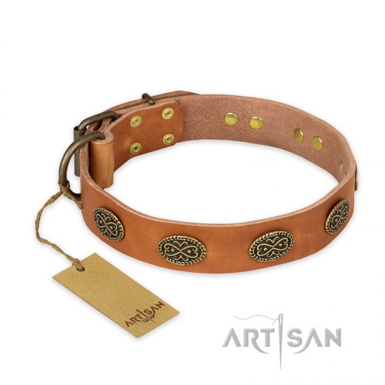 "Magic Amulet" FDT Artisan Tan Leather dog Collar with Oval Studs