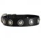 Fashion Nylon Dog Collar with Silvery Conchos for Walking and Training