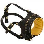 Stylish Handicrafted Studded Leather Muzzle for your pet