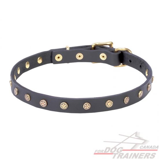 'Stars' Decorated Leather Canine Collar with Brass Studs