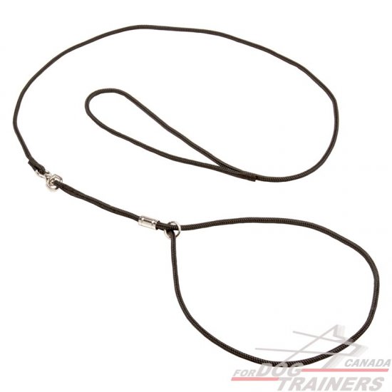 swivel dog show leads