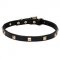 "Modern Style" Leather Dog Collar with Brass Studs