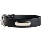 Training and Walking Leather Dog Collar With ID Tag