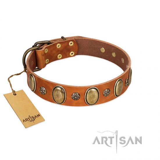 "Total Grace" FDT Artisan Brown Leather Dog Collar with Eye-catchy Ovals and Small Studs - Click Image to Close