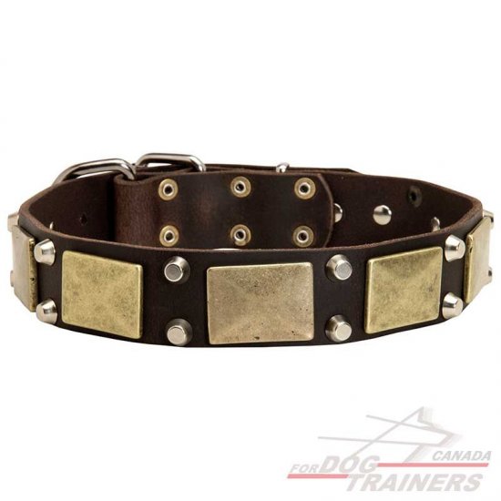 Exclusive Leather Dog Collar with Large Plates and Pyramids