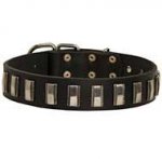 Leather Dog Collar Embellished with Vertical Nicklel Plates