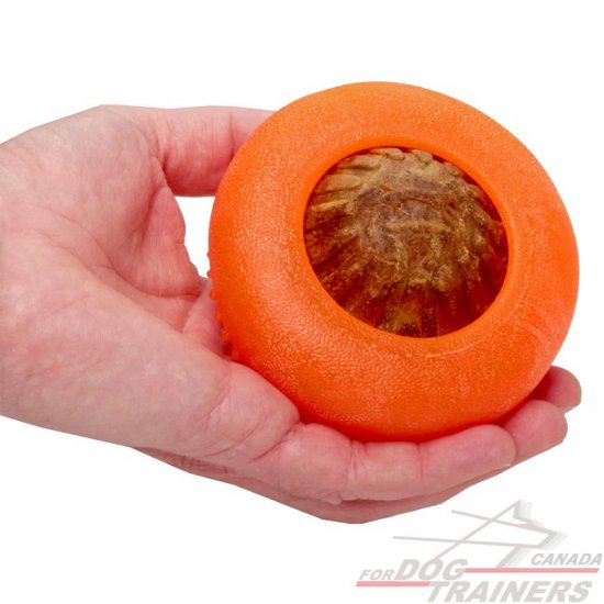 orange dog ball