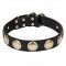 'Hip and Edgy' Leather Dog Collar with Brass Circles