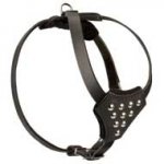 Fashion Adjustable Leather Puppy Harness for Daily Walking