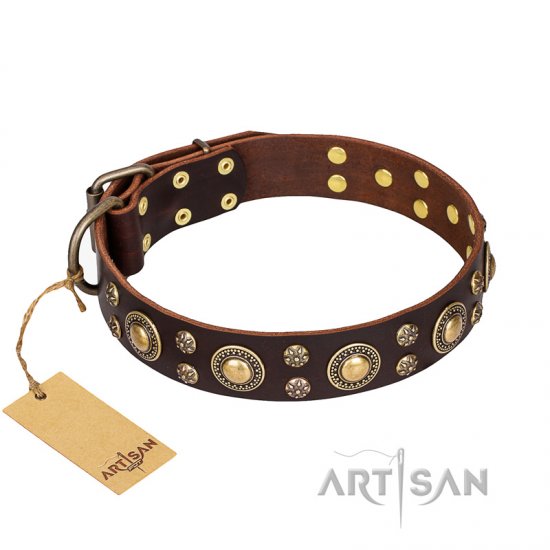 'Flower Melody' FDT Artisan Brown Leather Dog Collar with Mixed Studs for Everyday Use