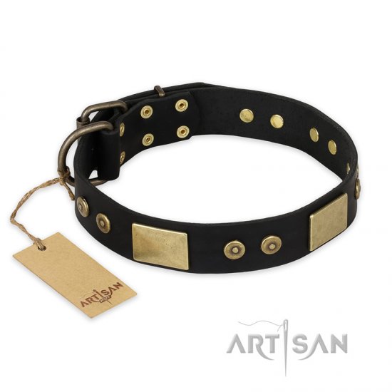 "Spanish night" FDT Artisan Fashionable Leather Walking dog Collar - Click Image to Close