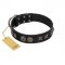 "Century Silver" Designer Handmade FDT Artisan Black Leather dog Collar