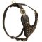 Adjustable Studded Leather Dog Harness for Walking and Training