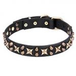 "Hollywood Star" Leather Dog Collar with Bronze Plated Stars and Pyramids -1 1/4 inch (30 mm)