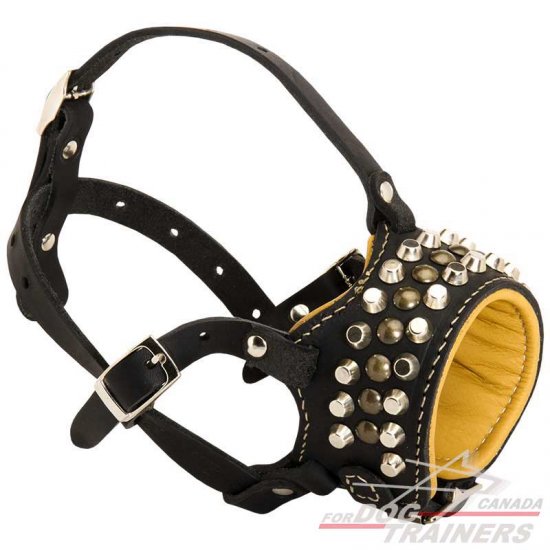 Studded Nappa Leather Padded Dog Muzzle
