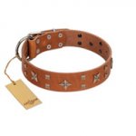 "Dreamy Gleam" FDT Artisan Tan Leather dog Collar Adorned with Stars and Squares