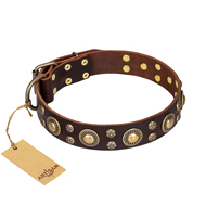 'Flower Melody' FDT Artisan Brown Leather Dog Collar with Mixed Studs for Everyday Use
