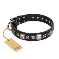 'Space Walk' FDT Artisan Astonishing Black Leather Dog Collar with Beautiful Adornments