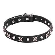"Blazing Stars" 1 inch (25 mm) Leather Dog Collar with Nickel Plated Stars and Pyramids