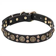 "Boho Style" 1 1/5 inch (30 mm) wide Leather Dog Collar with Massive Brass Decorations