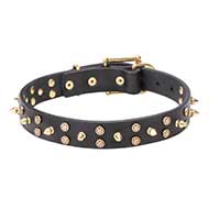 "Space Travel" Leather Dog Collar with Brass Stars and Spikes 1 1/5 inch (30 mm)
