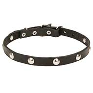 4/5 inch (20 mm) Leather Dog Collar "Shiny Necklace" with Half-Ball Chrome Plated Studs