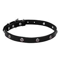 4/5 inch (20 mm) wide Leather Dog Collar "Sparkling Beauty" decorated with Chrome Plated Engraved Studs