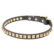 Necklace-like Narrow Leather Dog Collar with Brass Studs - 4/5 inch (20 mm)