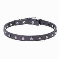 "Stellar" 4/5 inch (20 mm) Leather Dog Collar with Nickel Plated Stars