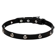"Lucky" Leather Dog Collar with Nickel Plated Engraved Studs - 4/5 inch (20 mm)
