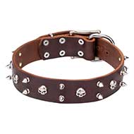 Leather Dog Collar Decorated with Skulls and Spikes "Blackbeard "